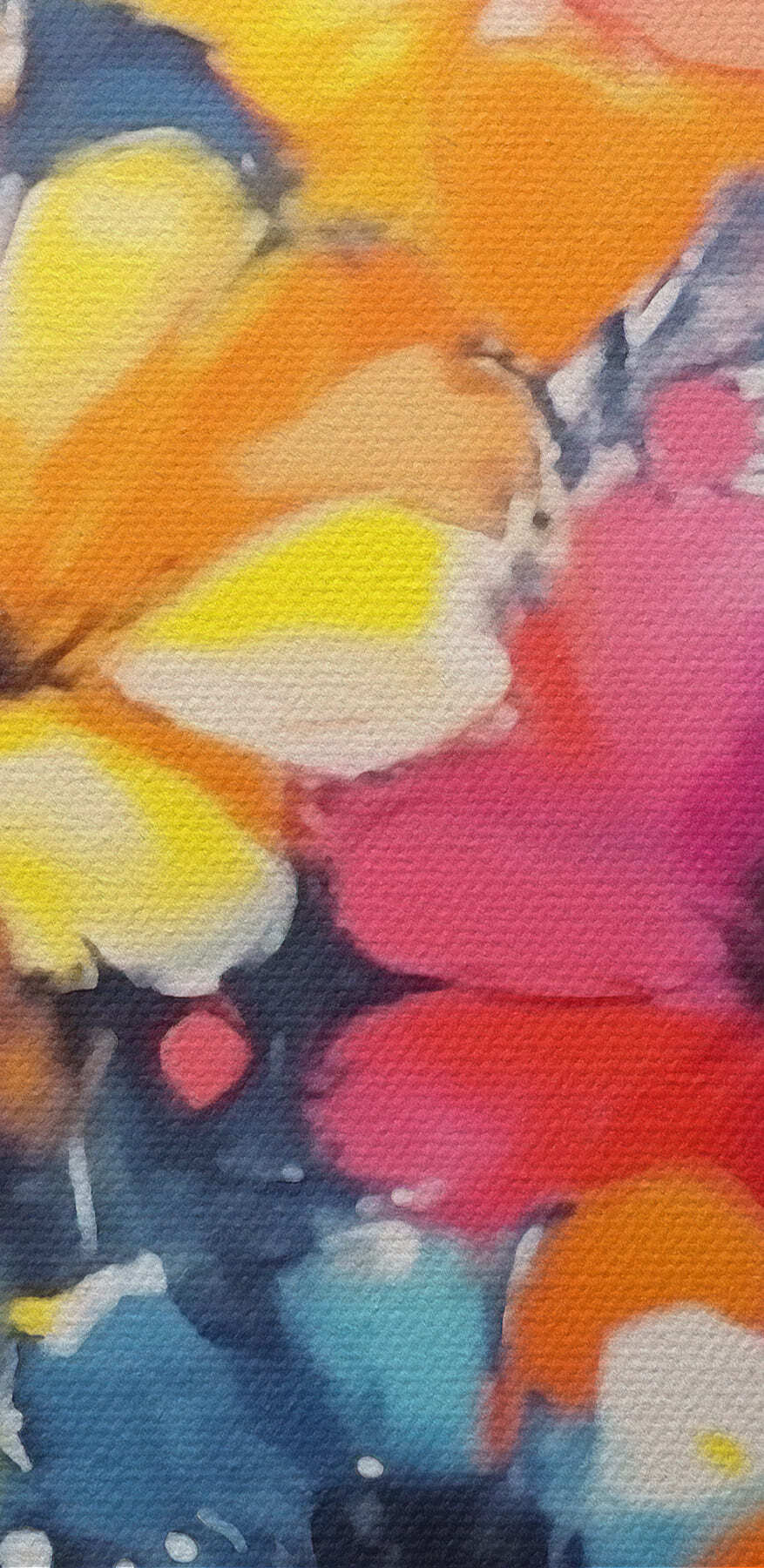 Painting of flowers on a white background Painting of flowers on a white background