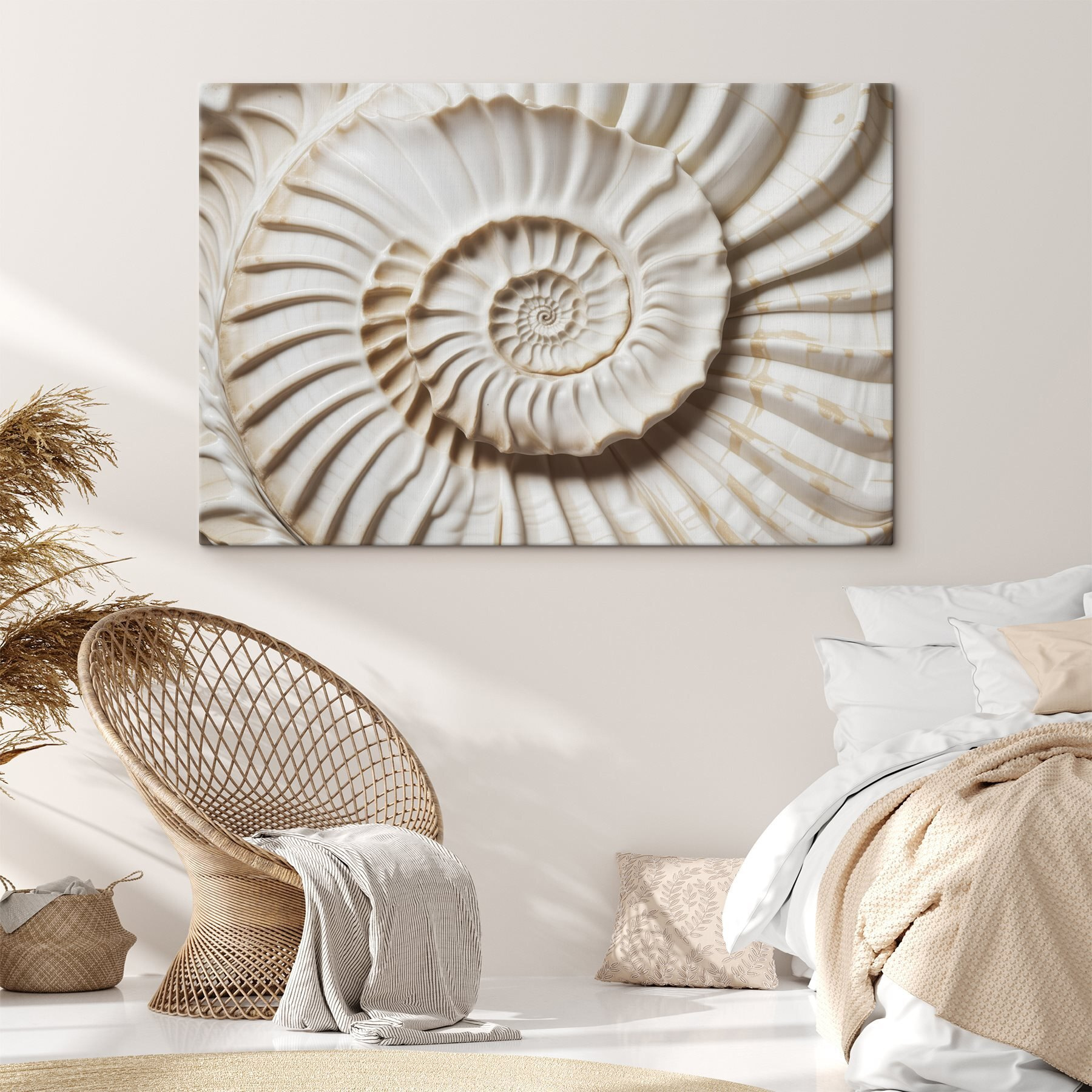 Elegant spiral shell pattern displayed beautifully
