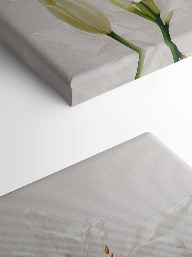 Group of white flowers