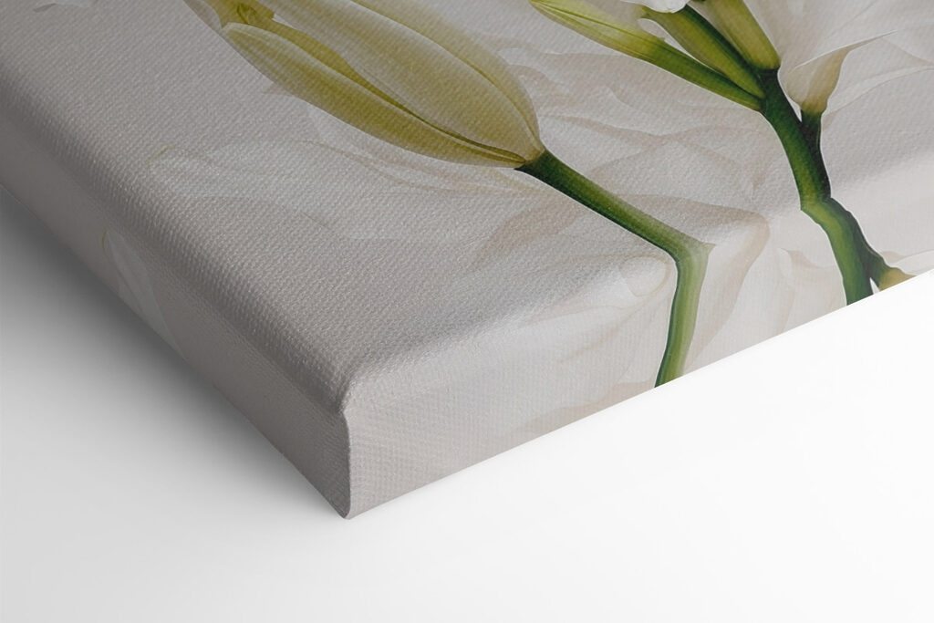 Group of white flowers