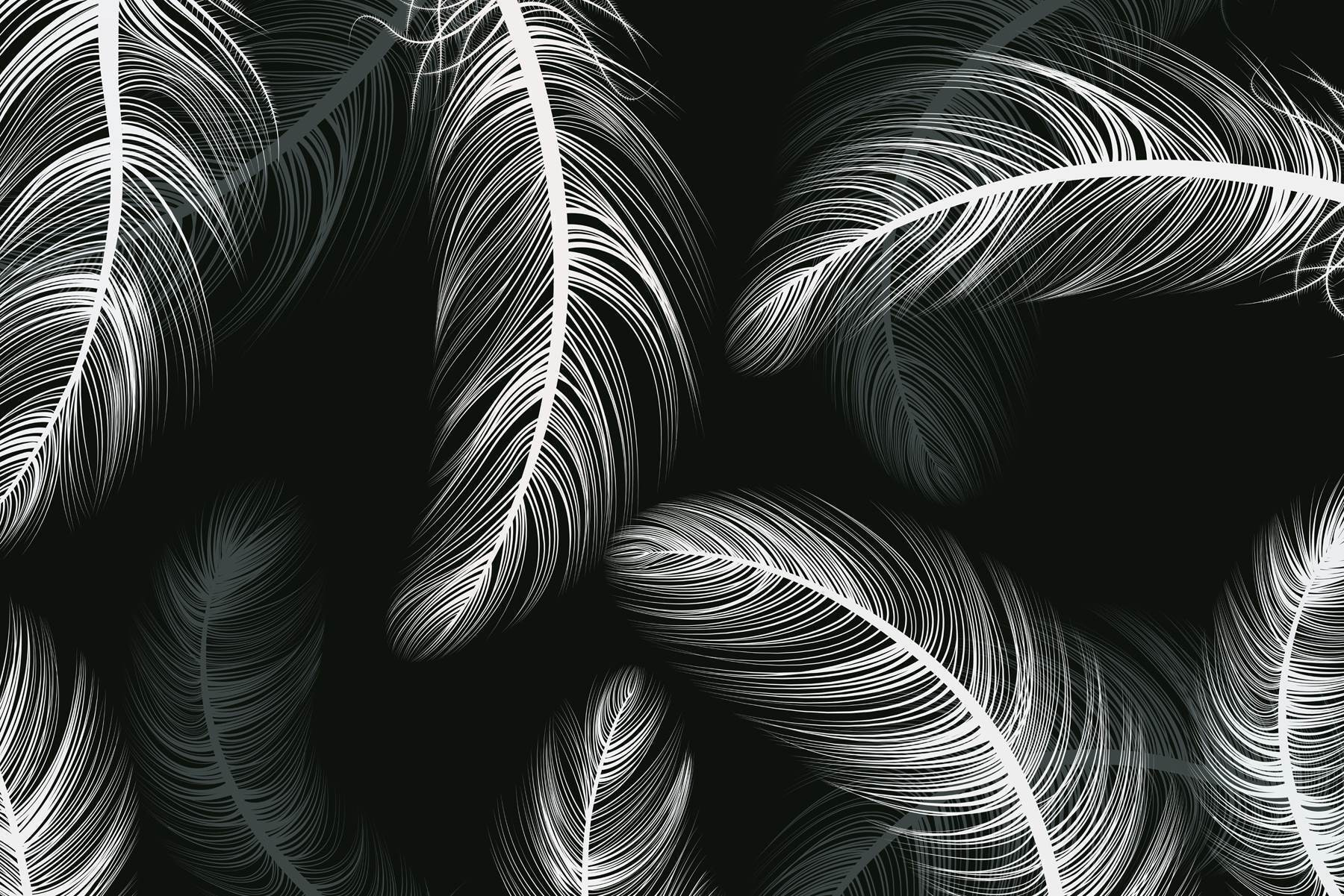 Group of white feathers Group of white feathers