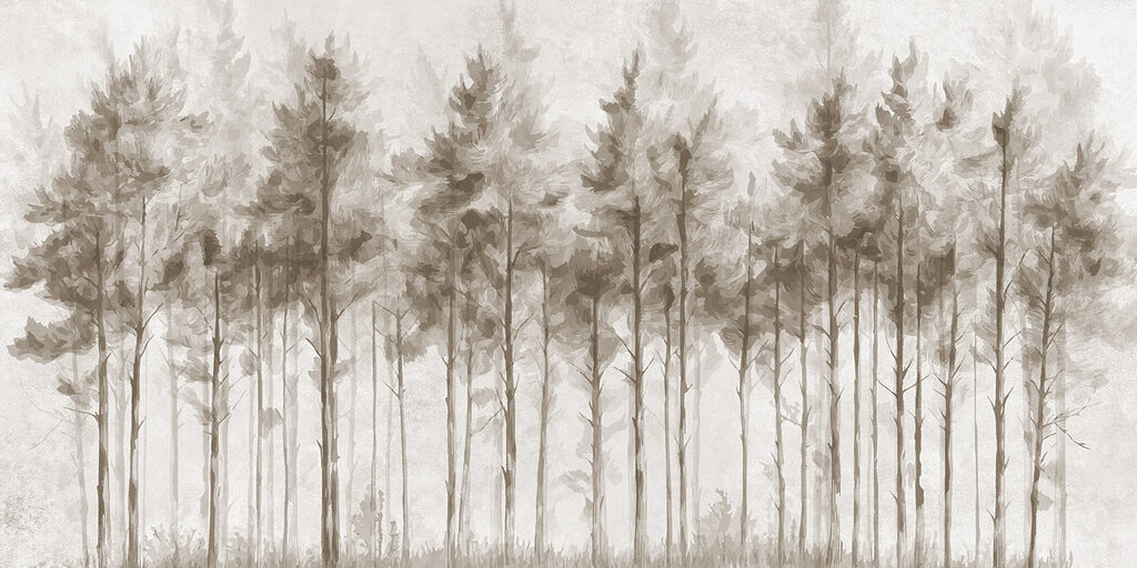 Group of trees in a forest