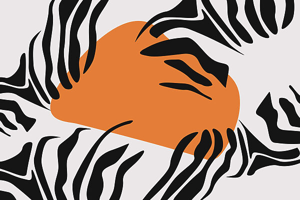Bold patterns in vibrant contrast Bold patterns in vibrant contrast
