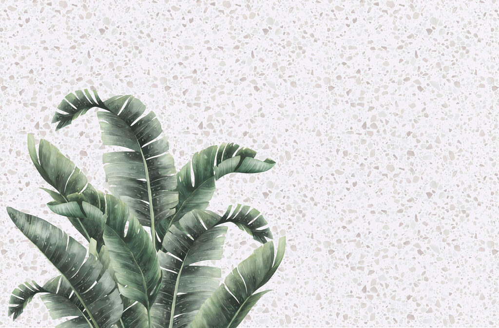 Plant with leaves on a white surface