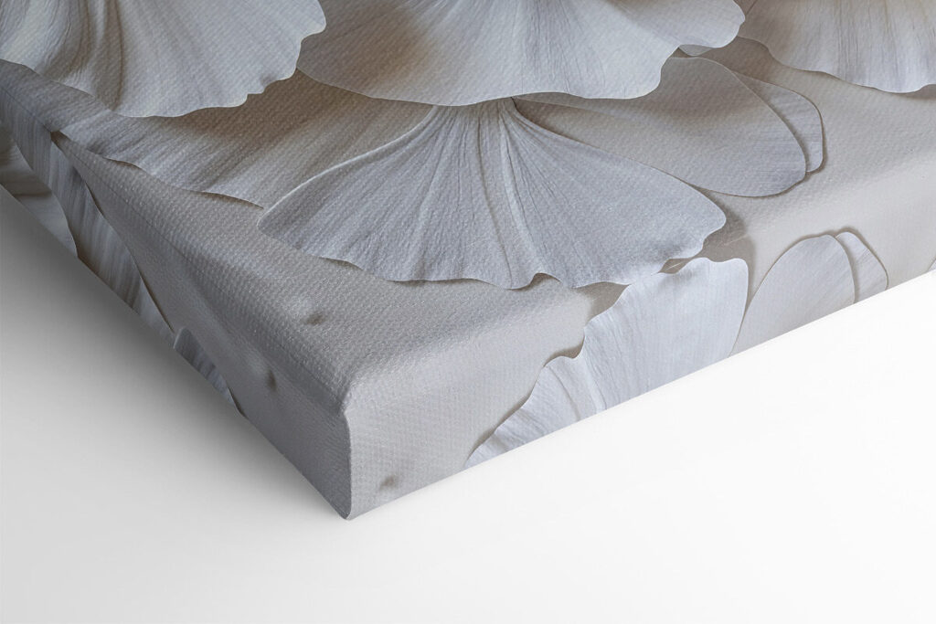 Group of white leaves