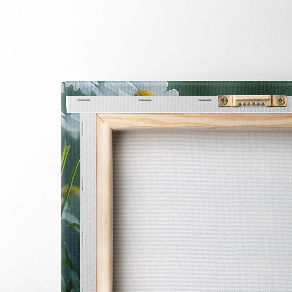 Butterfly on a flower