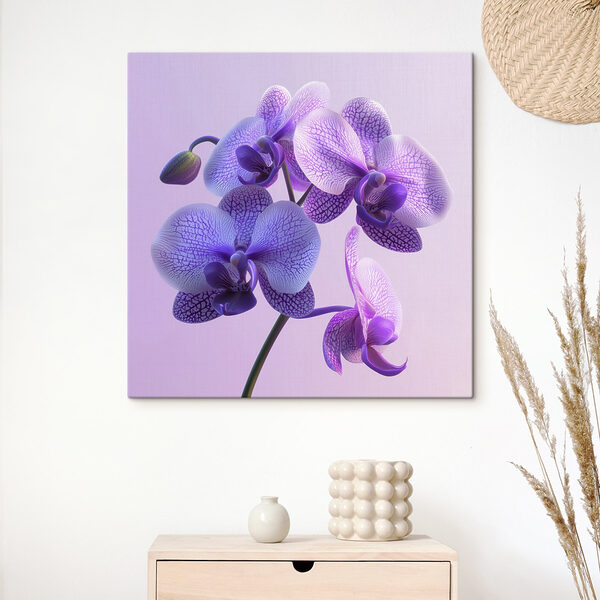 Fialový a bílý květ orchideje Fialový a bílý květ orchideje