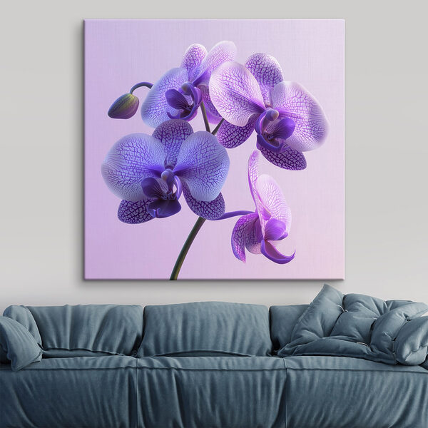 Fialový a bílý květ orchideje Fialový a bílý květ orchideje