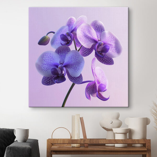Fialový a bílý květ orchideje Fialový a bílý květ orchideje