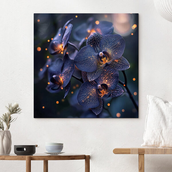 Elegantní orchideje v jemném prostředí Elegantní orchideje v jemném prostředí