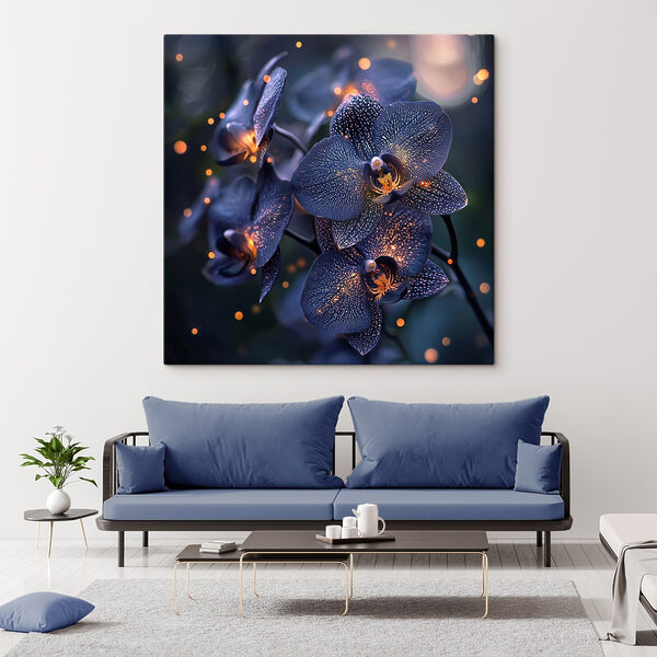 Elegantní orchideje v jemném prostředí Elegantní orchideje v jemném prostředí