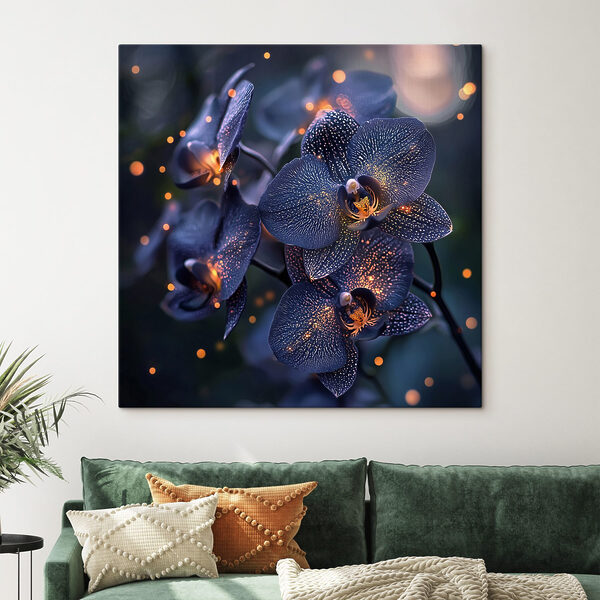 Elegantní orchideje v jemném prostředí Elegantní orchideje v jemném prostředí