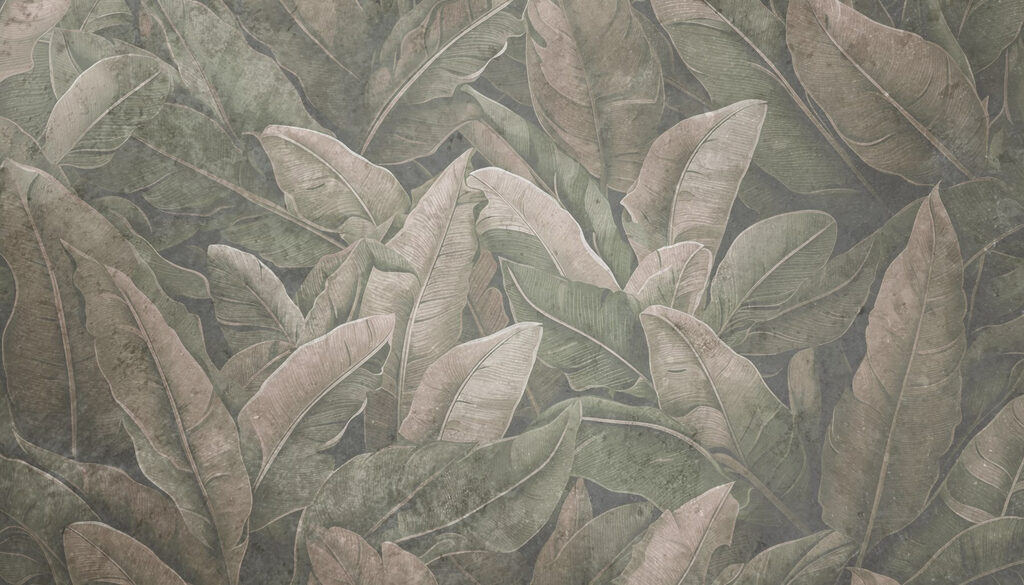 Nature’s detailed leaf patterns revealed