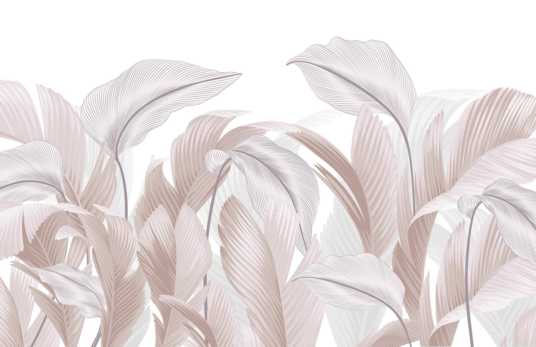 Delicate lines of nature's beauty