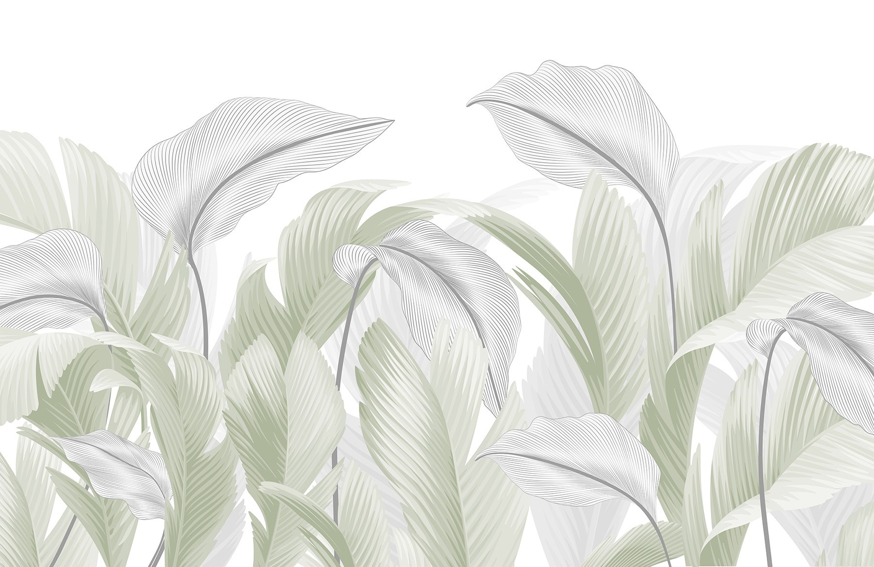 Elegant green leaves on a white backdrop