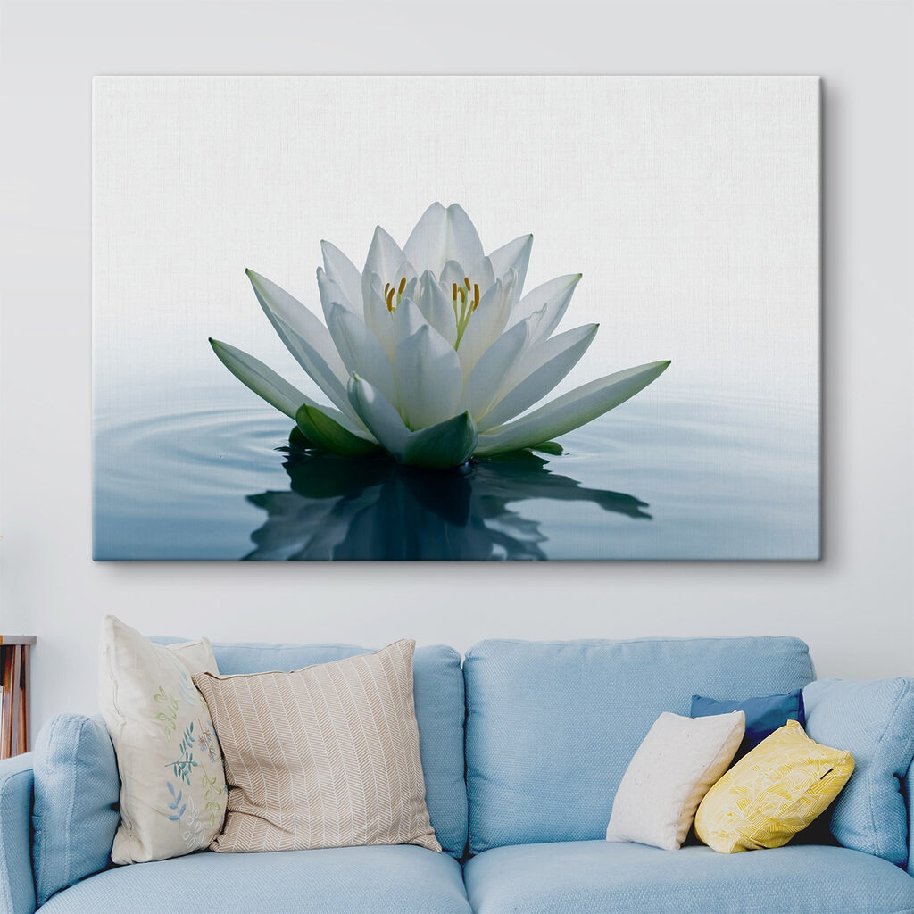 White flower in water