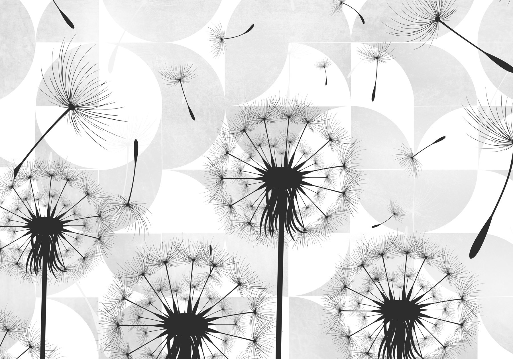 Black dandelion seeds flying in the air