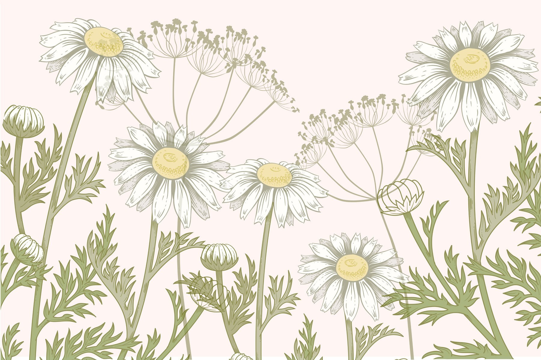 Delicate blooms in soft hues Delicate blooms in soft hues