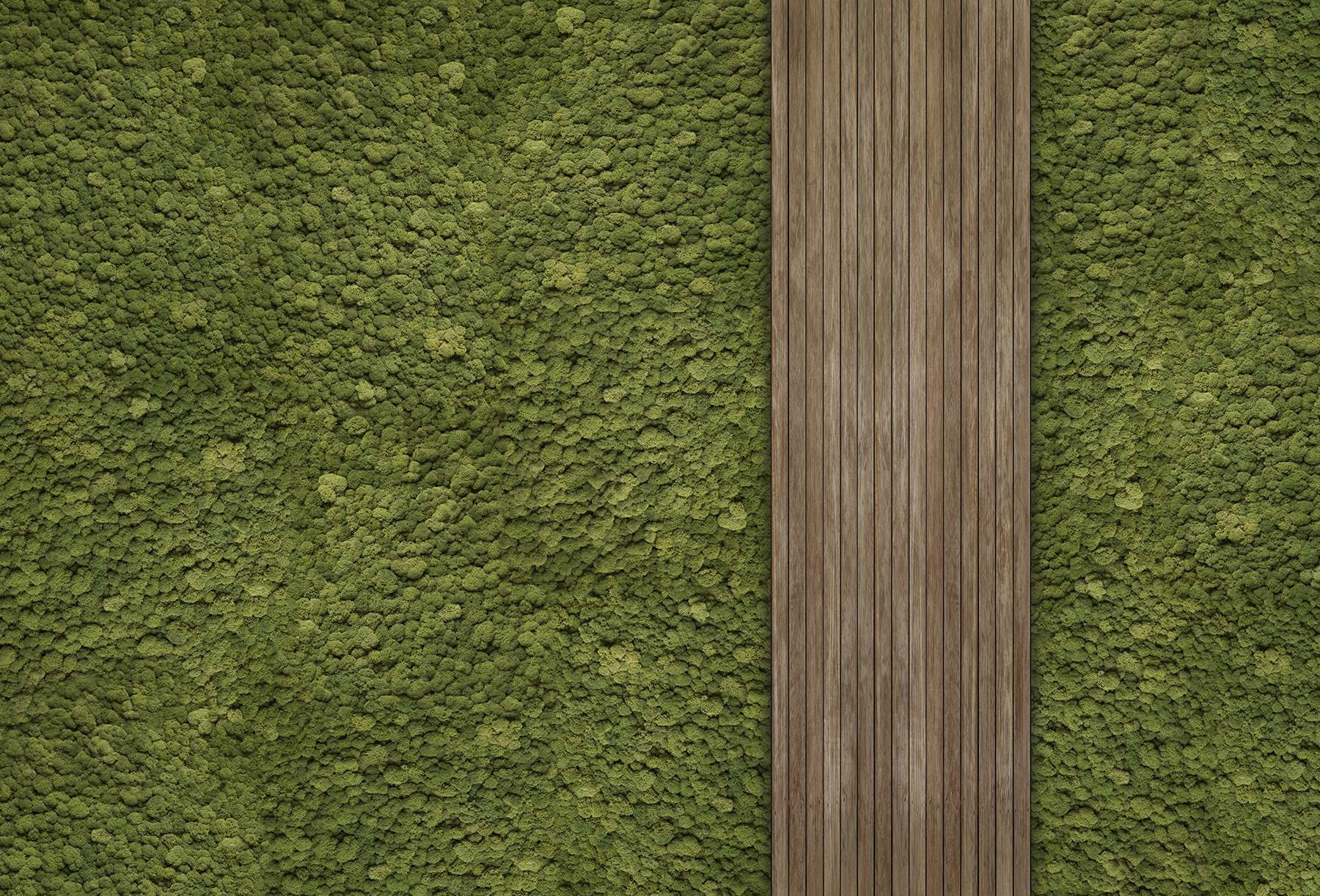 Wood plank on a green carpet Wood plank on a green carpet