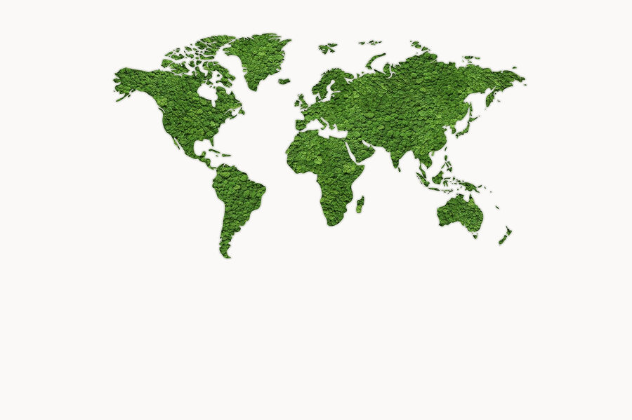 Mapa světa ze zelených rostlin