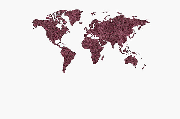 Mapa světa Mapa světa