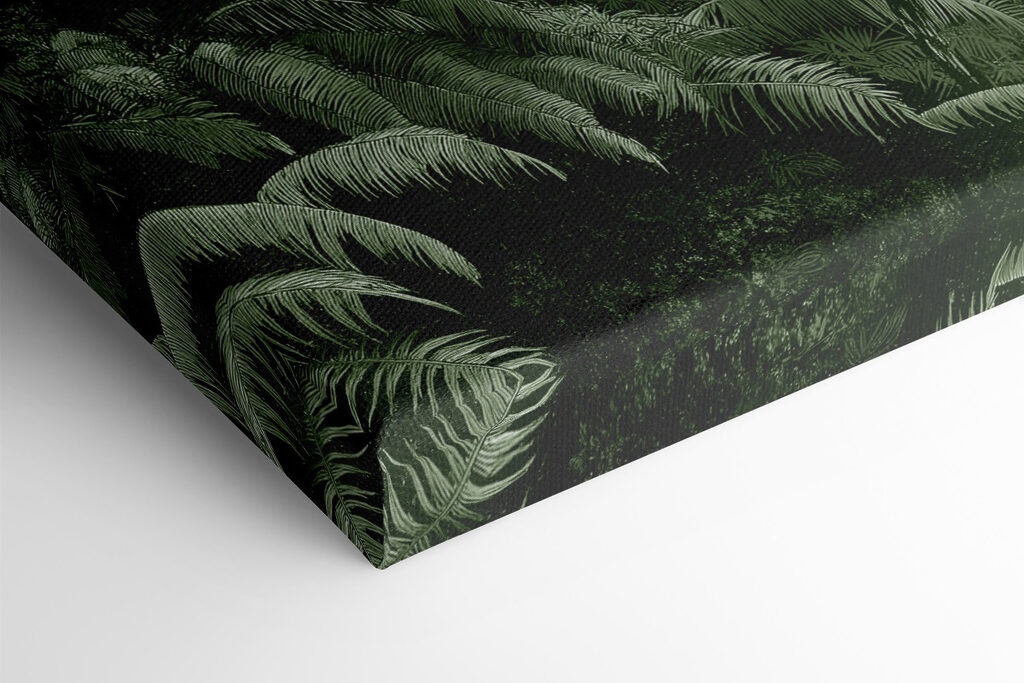 Group of palm trees in a forest Group of palm trees in a forest