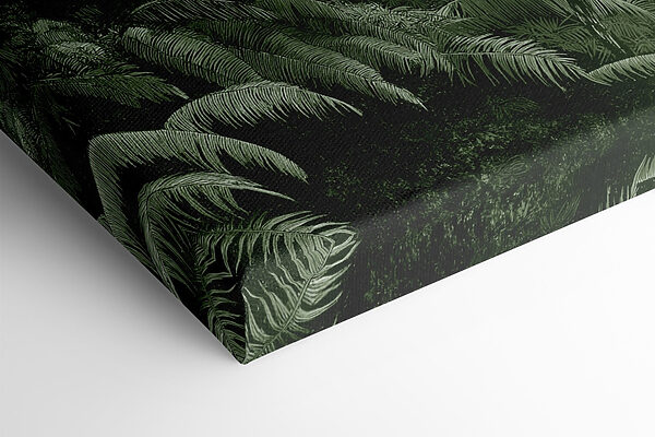 Group of palm trees in a forest Group of palm trees in a forest