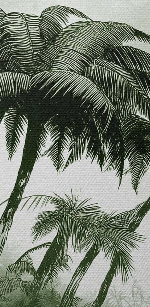 Group of palm trees in a forest Group of palm trees in a forest