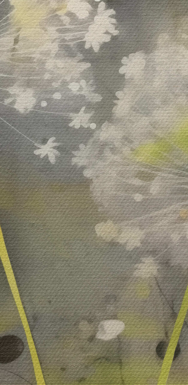 Jemné bílé květy v jemných odstínech Jemné bílé květy v jemných odstínech
