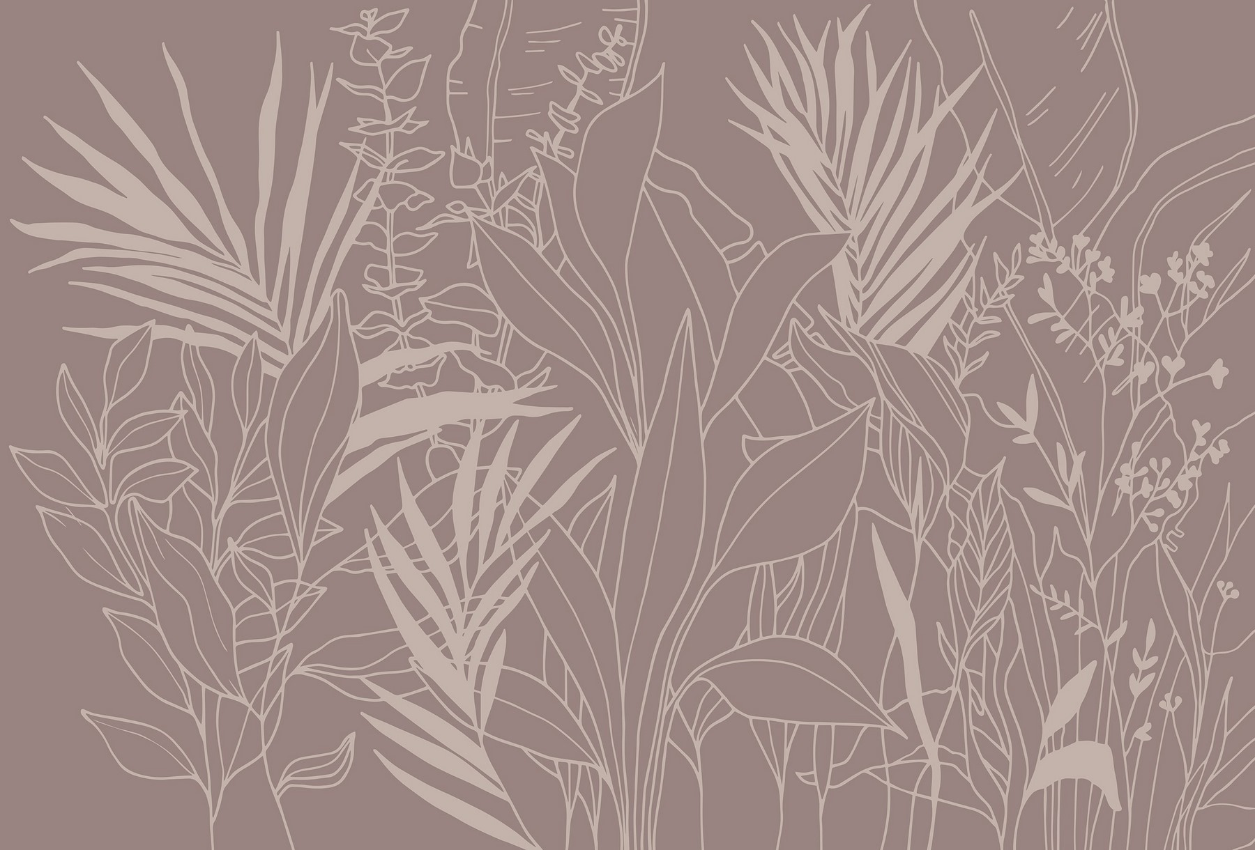 Drawing of plants and leaves