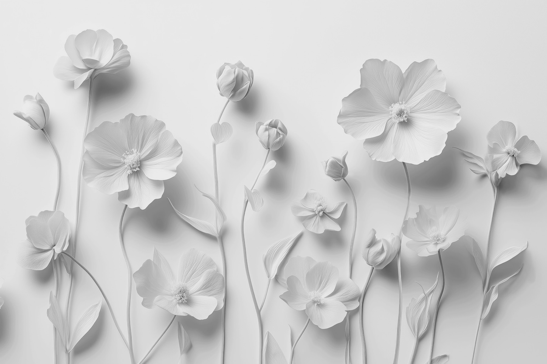 Group of white flowers