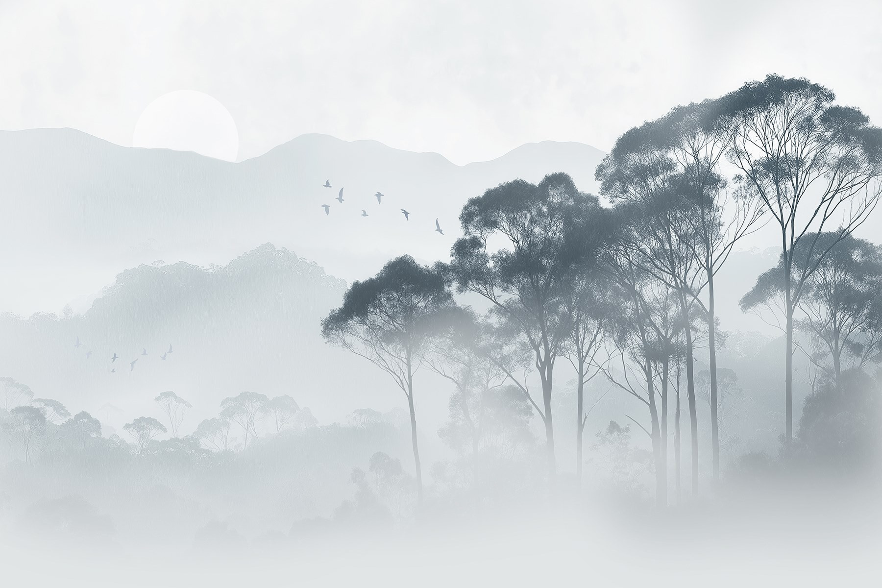 Group of trees in fog