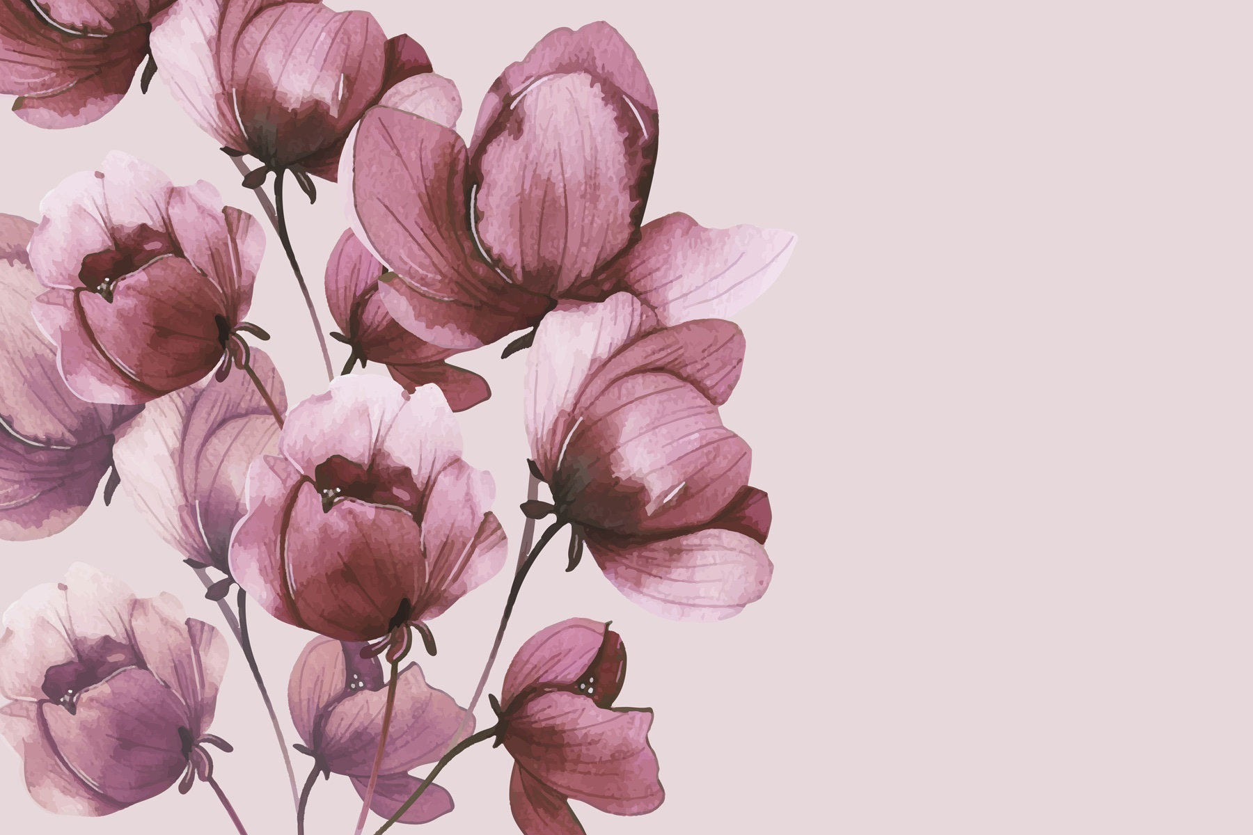 Delicate blooms in soft hues