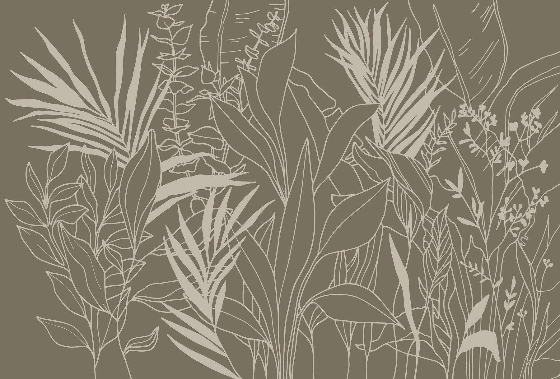 Drawing of plants and leaves