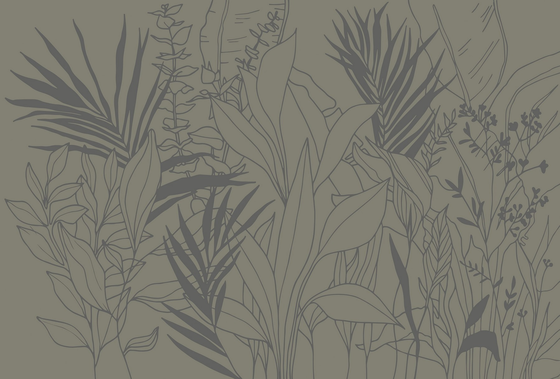 Drawing of plants and leaves