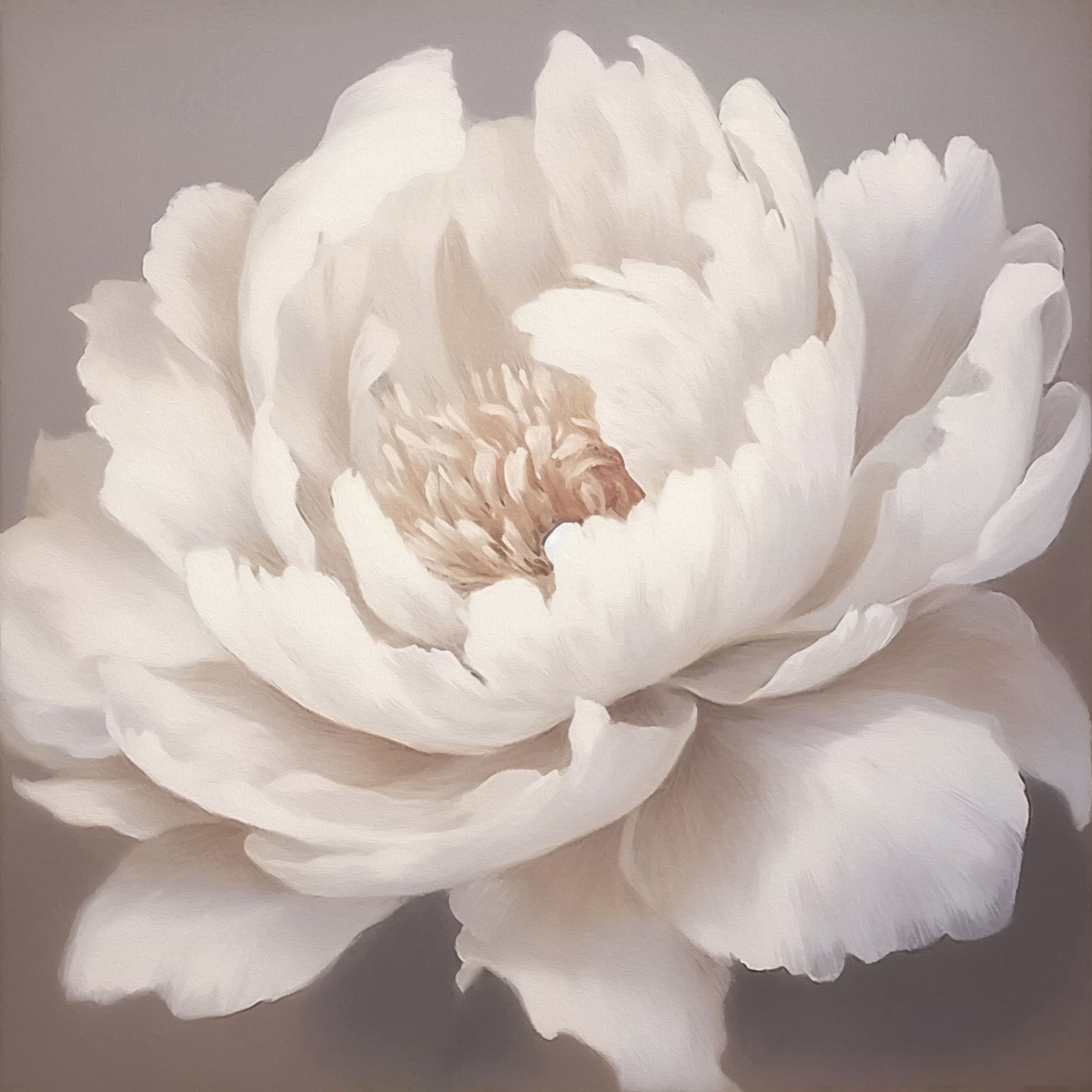 Delicate petals in soft hues