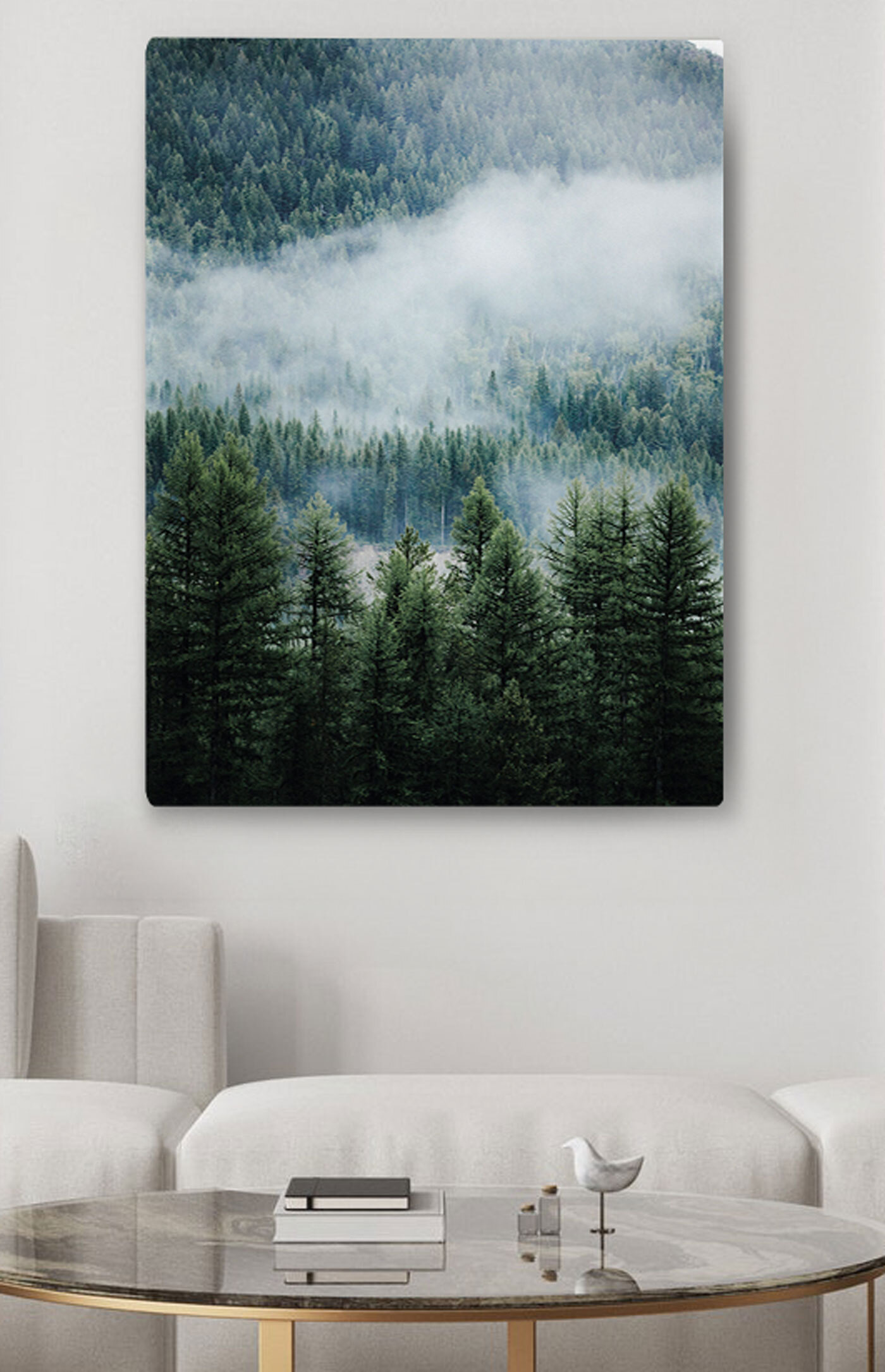 Forest with fog and clouds