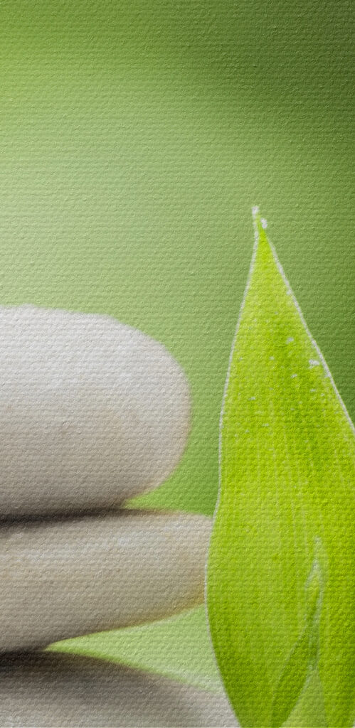 Stack of rocks and bamboo