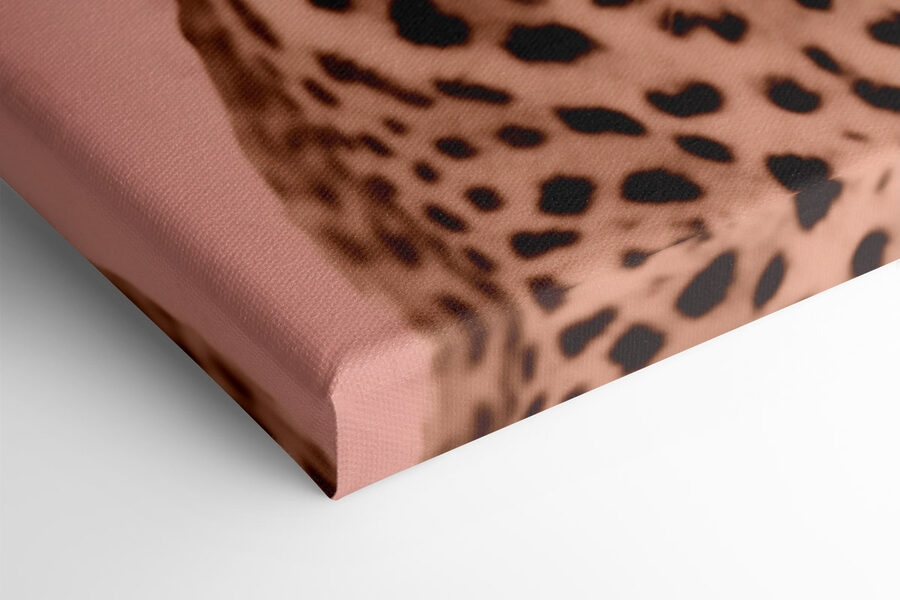 Majestátní leopard v jemných tónech