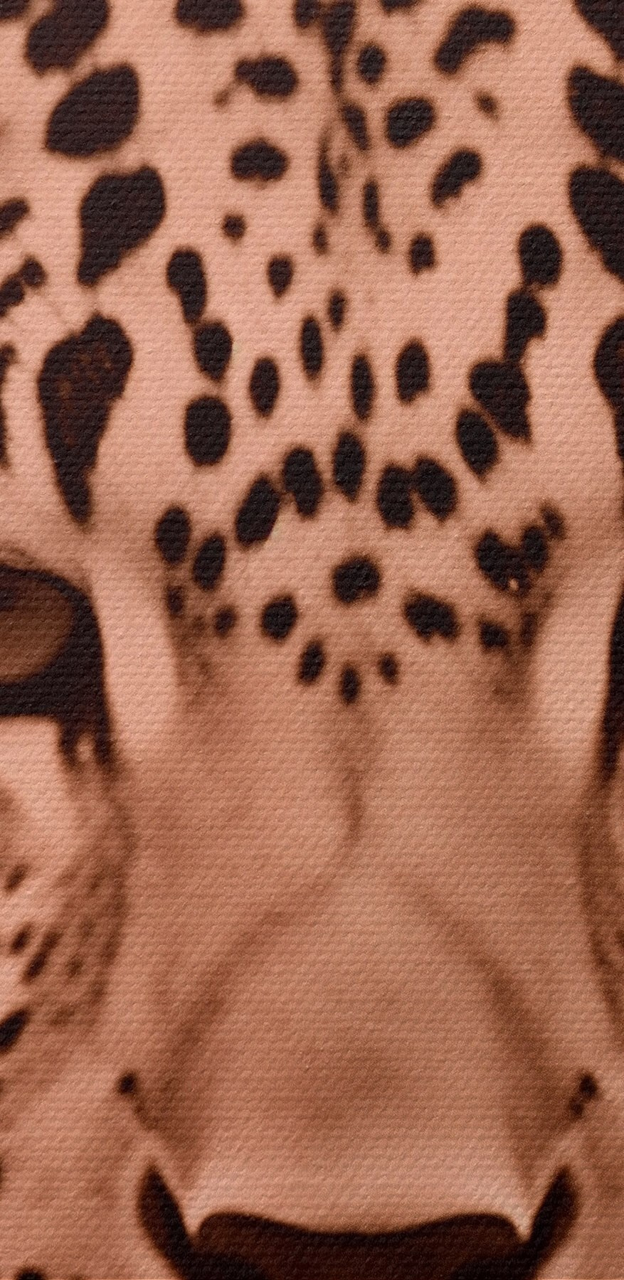 Majestátní leopard v jemných tónech