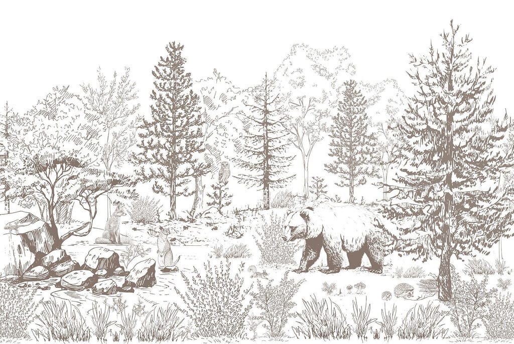 Bear walking in the woods Bear walking in the woods