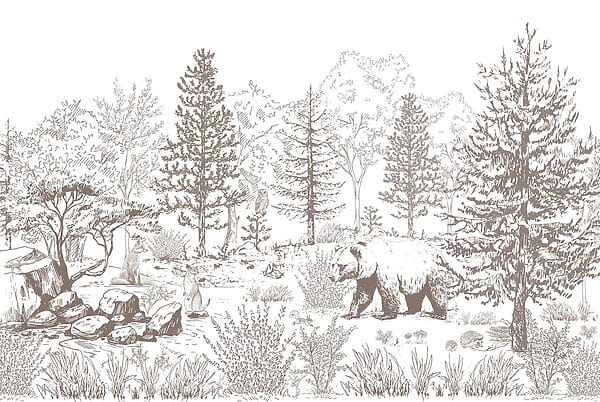 Bear walking in the woods Bear walking in the woods