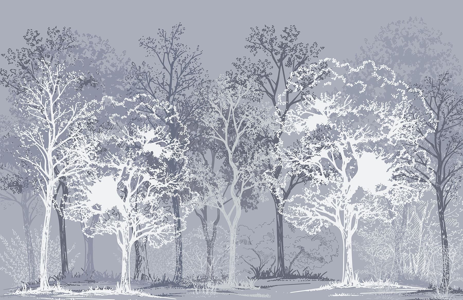 Group of trees in a forest
