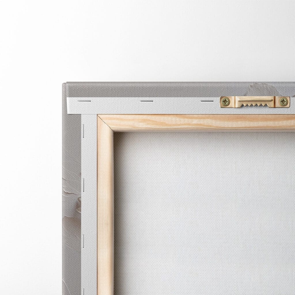 White flower on a white surface White flower on a white surface