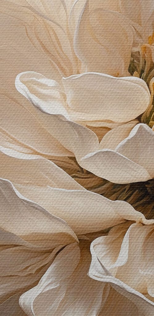 Beautiful bloom in soft hues Beautiful bloom in soft hues