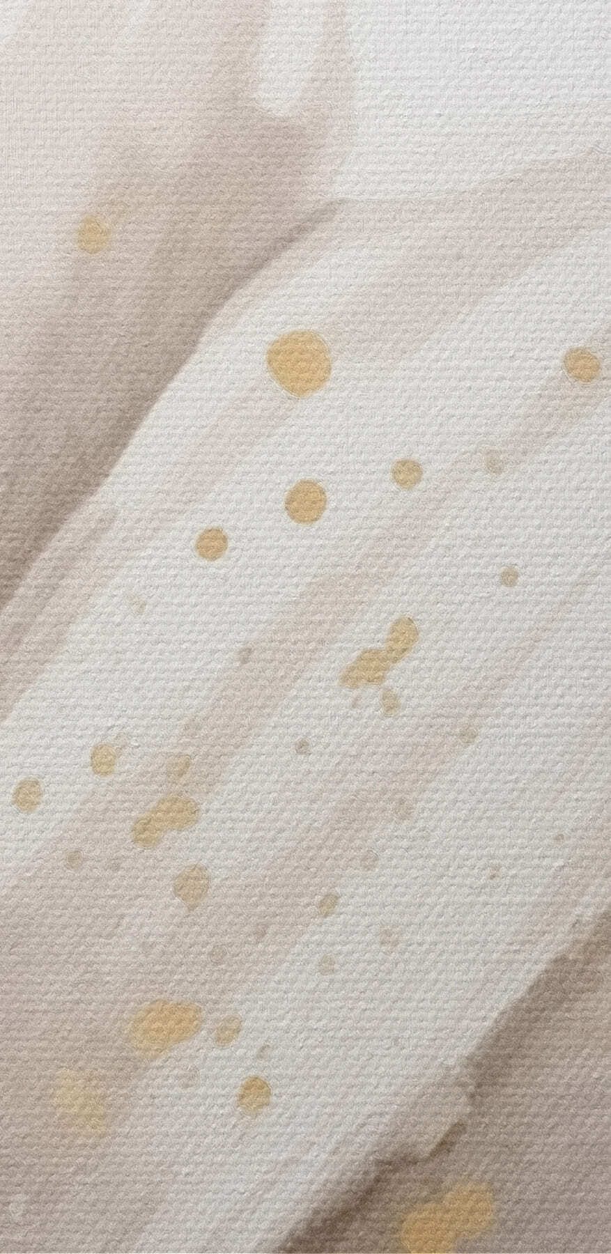 Květinová elegance v jemných tónech