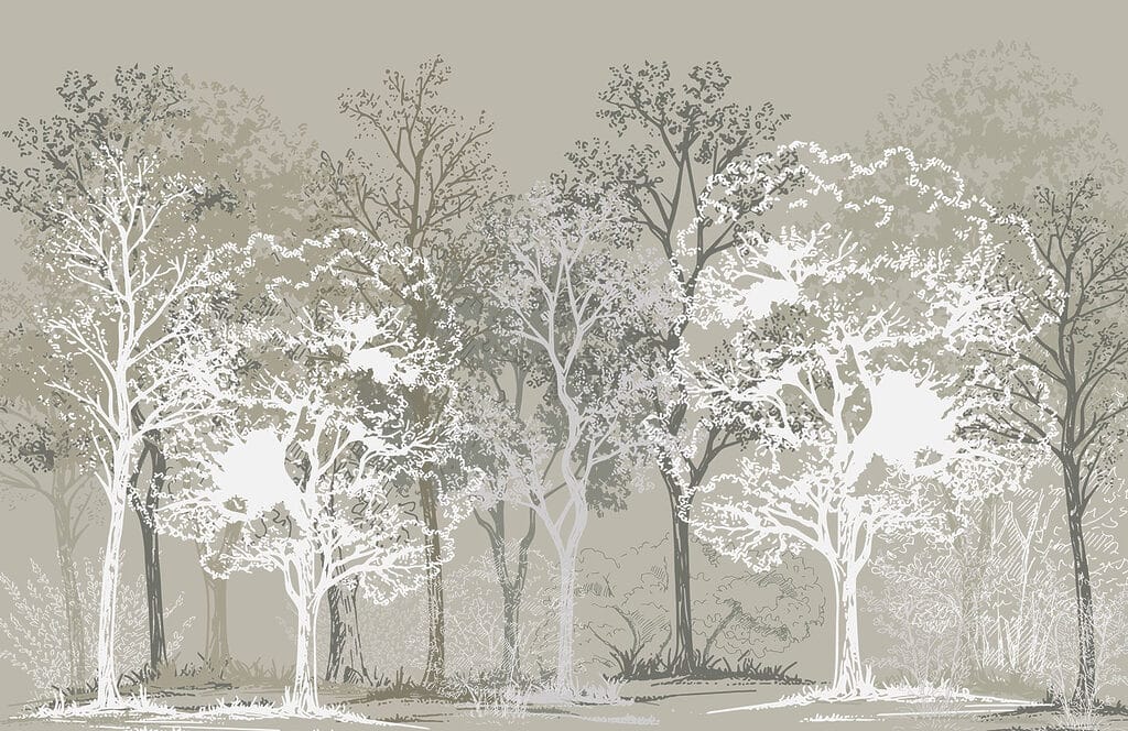 Group of trees in a forest