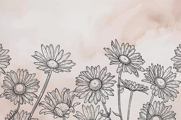 Group of flowers on a white background Group of flowers on a white background