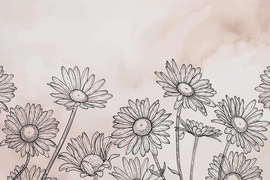Group of flowers on a white background Group of flowers on a white background