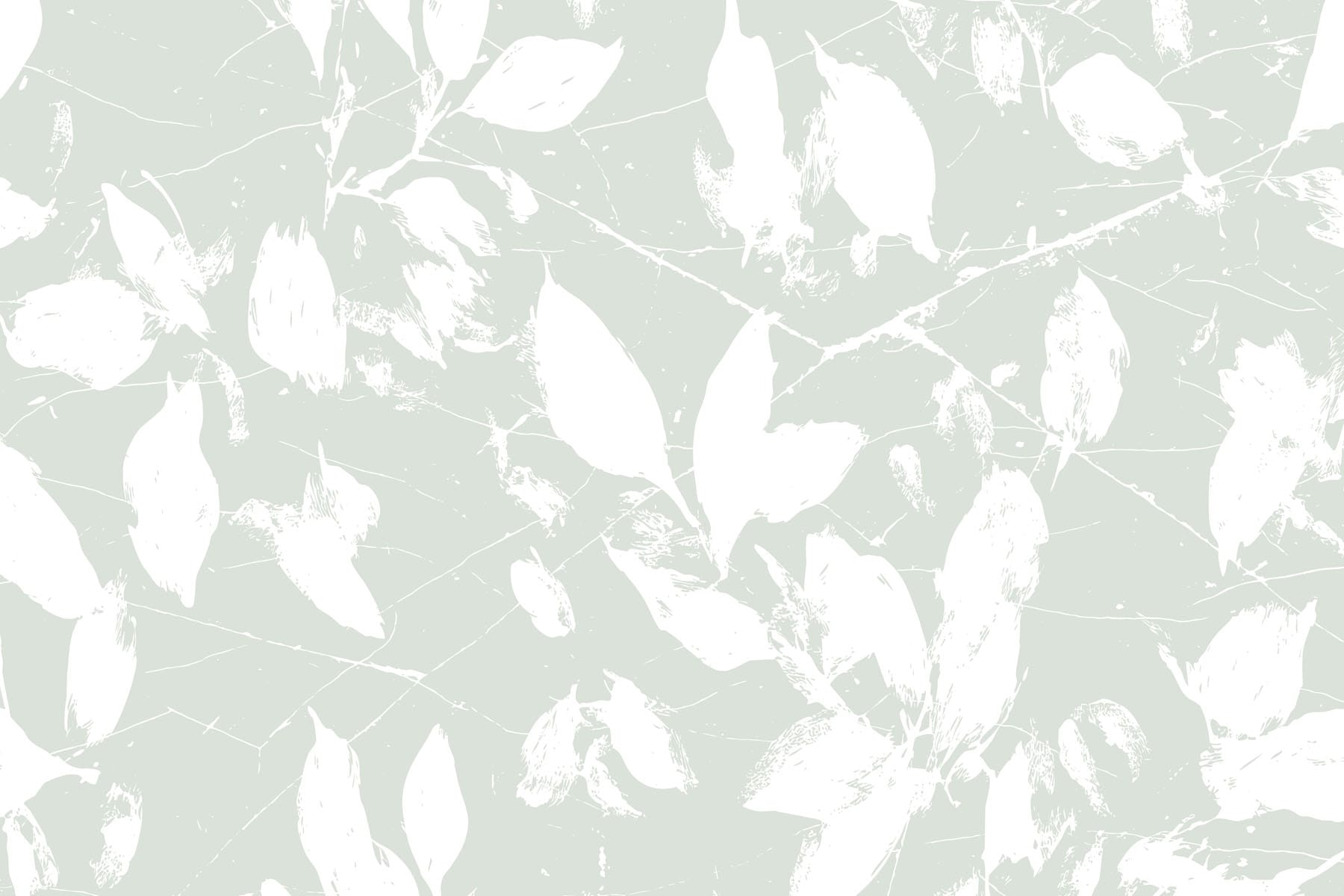 White leaves on a light green background White leaves on a light green background